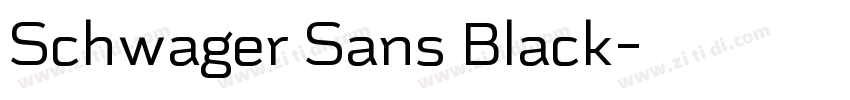 Schwager Sans Black字体转换
